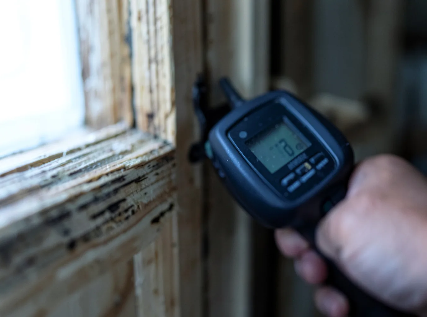 Commercial Water Damage Restoration in Humptulips, WA